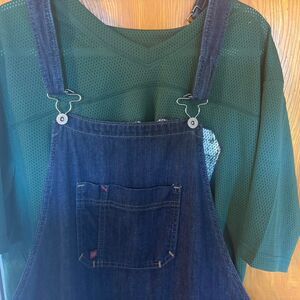 Dickies Men's Denim Overalls